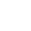 MotivisionTM