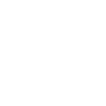 MotivisionTM