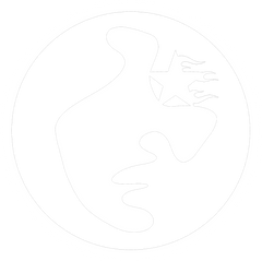 MotivisionTM